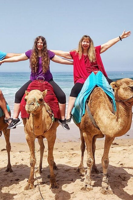 Tangier Private Half-Day Tour + Camel Ride + Add-on: Lunch - Inclusions and Add-ons