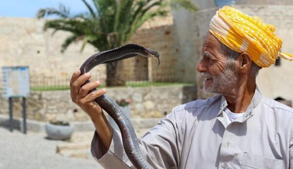 Tangier Private Half-Day Tour + Camel Ride + Add-on: Lunch - Camel Ride Included