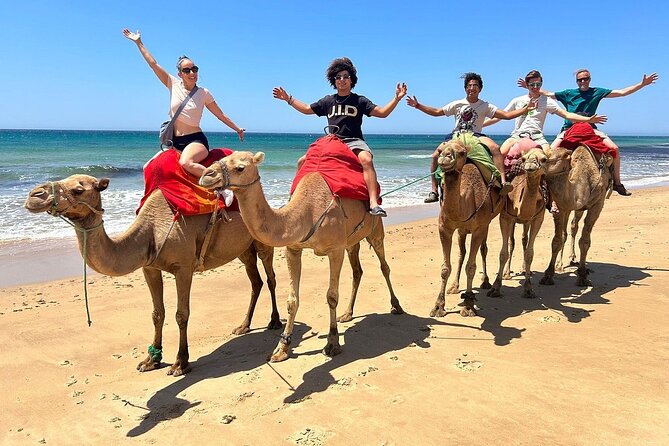 Tangier Private Tour - Meeting and Pickup Details