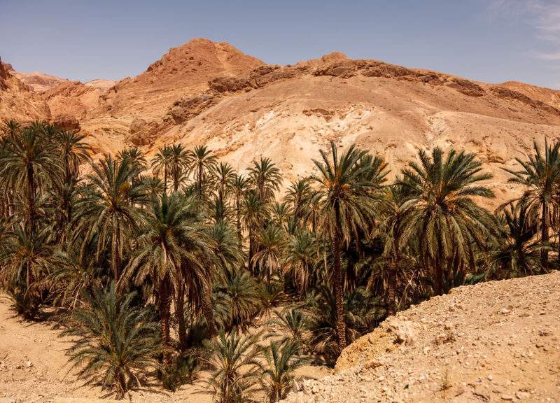 Tangier to Marrakech 6-Day Private Desert & Cultural Experience - Is this the right six-day Morocco route for you?