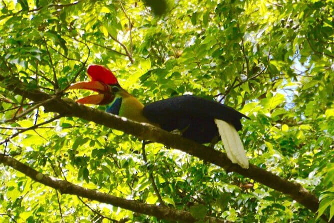 Tangkoko Bitung Manado Nature Tourism Park includes lunch. - Who Should Consider This Tour?