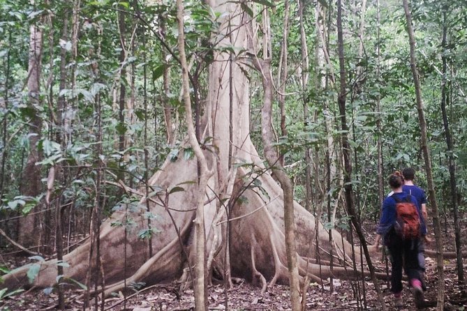 Tangkoko Overnight (2D1N) - Tour Overview