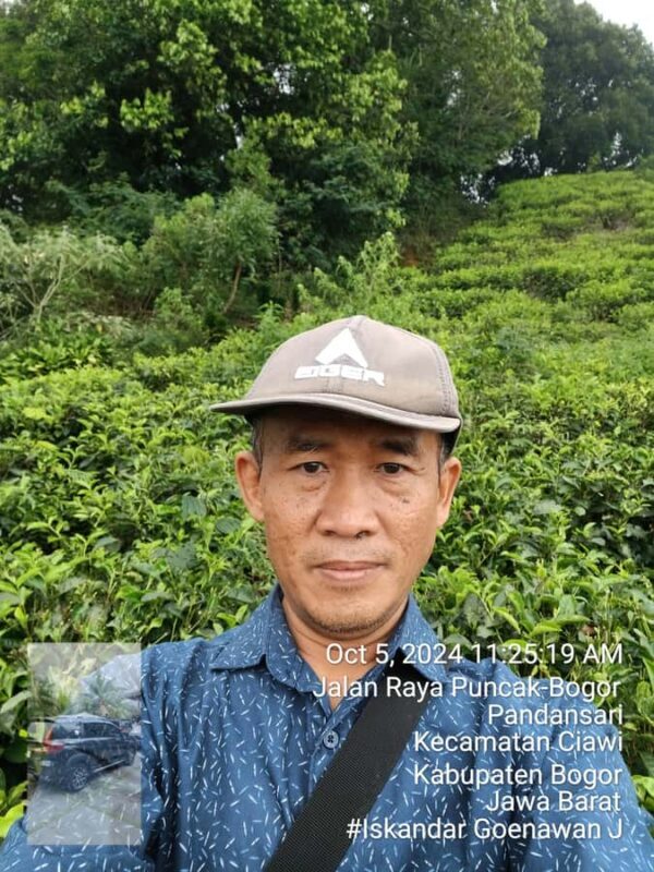 Tangkuban Perahu Mountain Tour - A Closer Look at What This Tour Offers