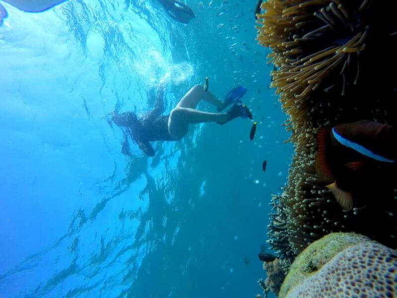 Tangsi Beach, Gili Gambir and Gili Petelu Snorkeling trip - Frequently Asked Questions