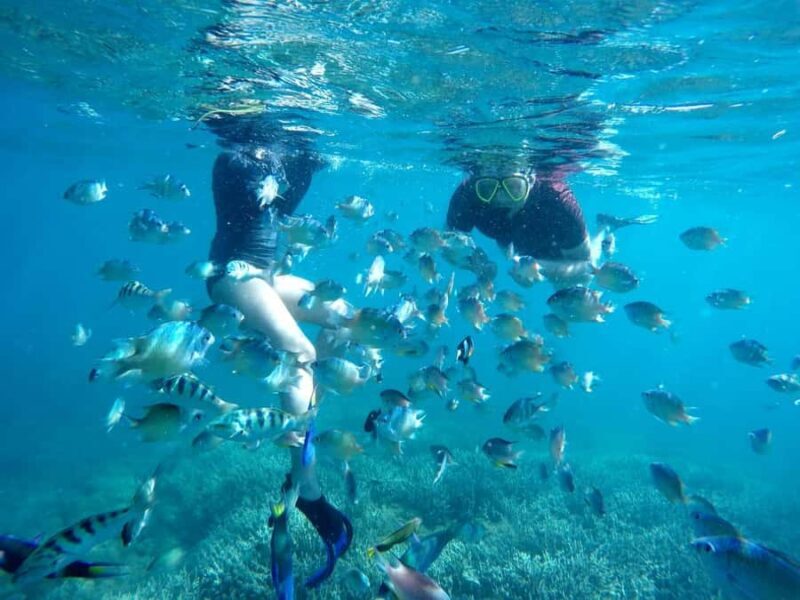 Tangsi Beach, Gili Gambir and Gili Petelu Snorkeling trip - Good To Know
