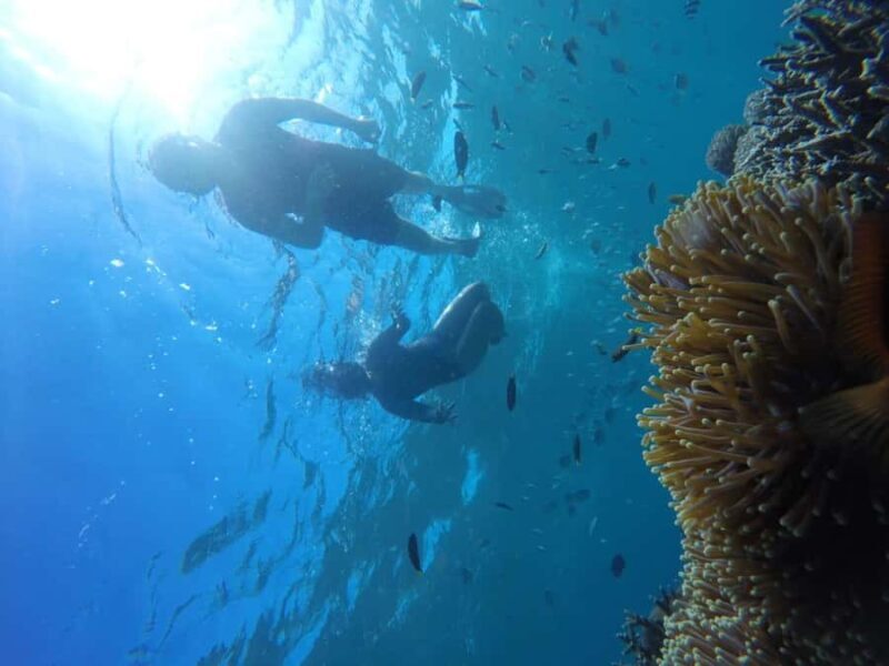 Tangsi Beach, Gili Gambir and Gili Petelu Snorkeling trip - A Detailed Look at the Tour Experience