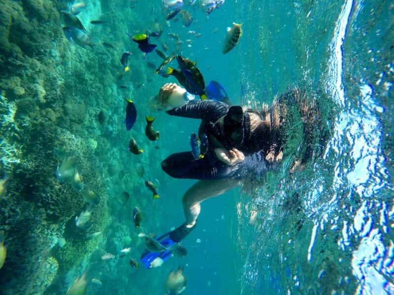 Tangsi Beach, Gili Gambir and Gili Petelu Snorkeling trip - Practical Tips and Considerations