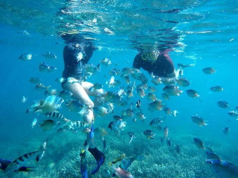 Tangsi Beach, Gili Gambir and Gili Petelu Snorkeling trip - FAQ