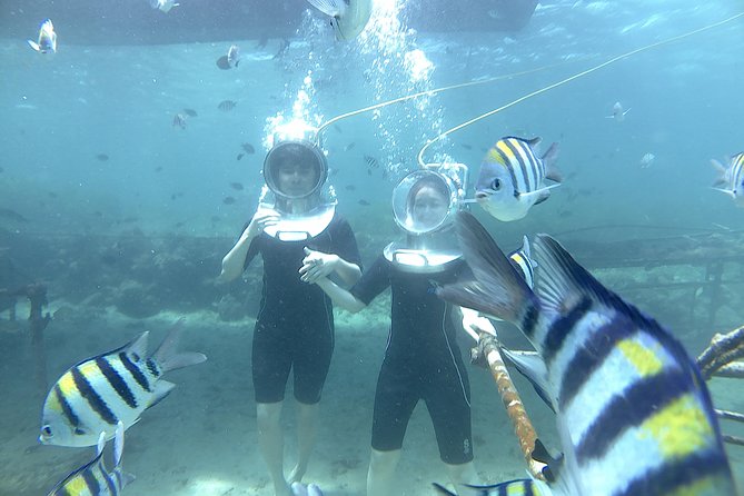 Tanjung Benoa Seawalker Tour (Feb ) - Pricing Details