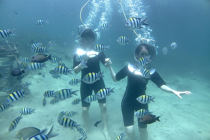 Tanjung Benoa Seawalker Tour (Feb ) - Booking Process
