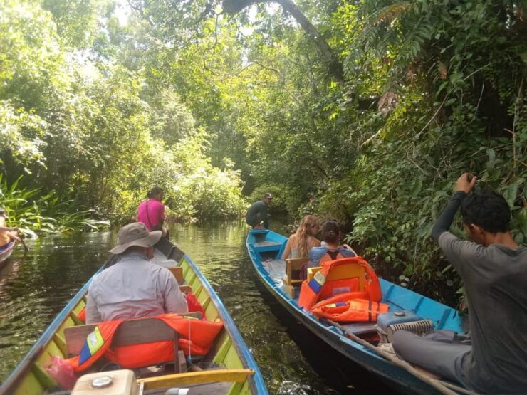 Tanjung Puting National Park Klotok - Itinerary Highlights