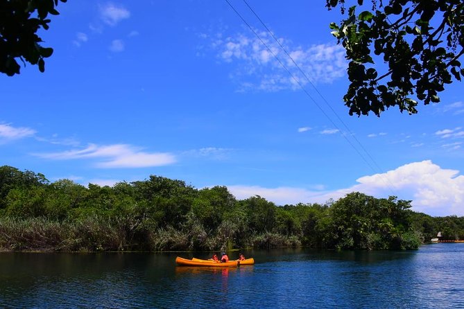 Tankah & Tulum Private Tour - Tour Highlights