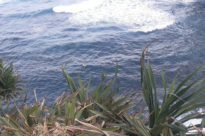 Tanna Island: Full Day Tour Including Mt Yasur Volcano and the Hotspring - FAQ