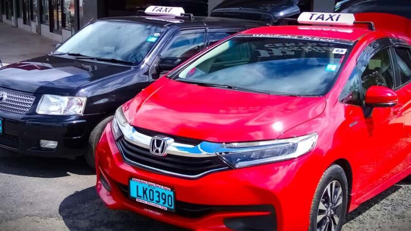 Tanoa Waterfront Hotel to Natadola Beach Round Trip - Good To Know  