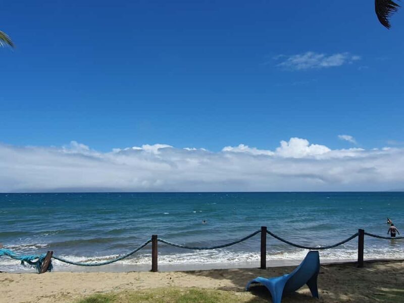 Tanoa Waterfront Hotel to Natadola Beach Round Trip - Transport & Group Size  