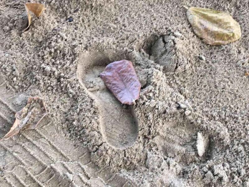 Tanoa Waterfront Hotel to Natadola Beach Round Trip - An Honest Look at the Journey: What to Expect