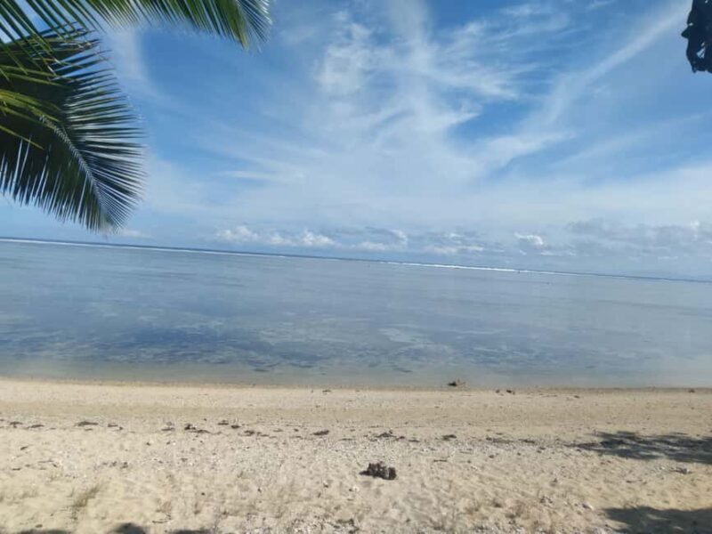 Tanoa Waterfront Hotel to Natadola Beach Round Trip - Who Will Love This Tour?