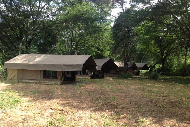 Tanzania 8 Day Private Safari Experience - Good To Know