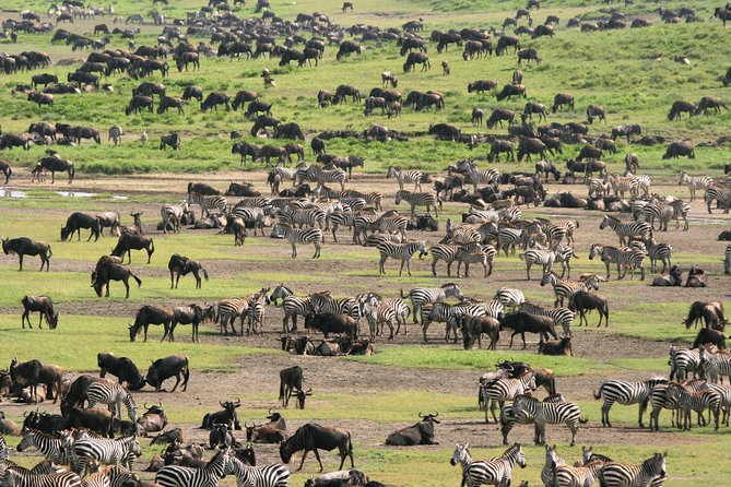 Tanzania 8 Day Private Safari Experience - Cultural Experiences