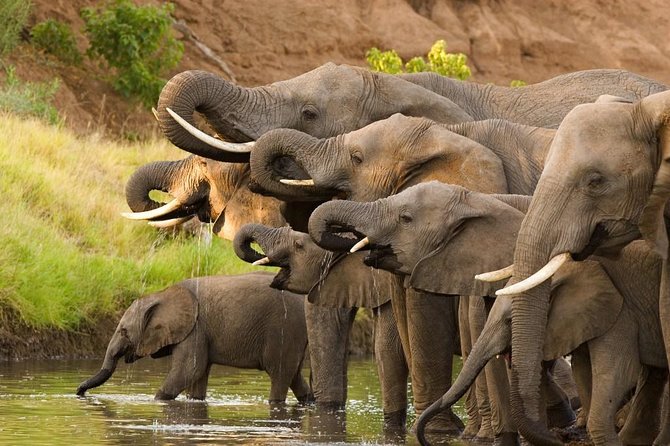 Tanzania Bush to Beach Safari Adventure - Private Transportation Details