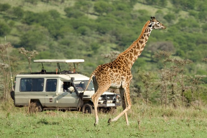 Tanzania Classic Safari - 7 Days - Accommodations and Meals Included