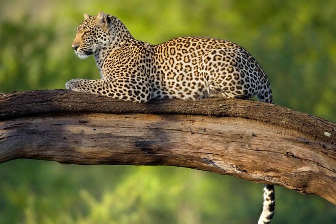 Tanzania Classic Safari - 7 Days - Cultural Experiences and Interactions