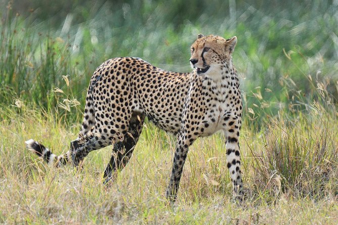 Tanzania Experience Safari and Tours - Additional Information