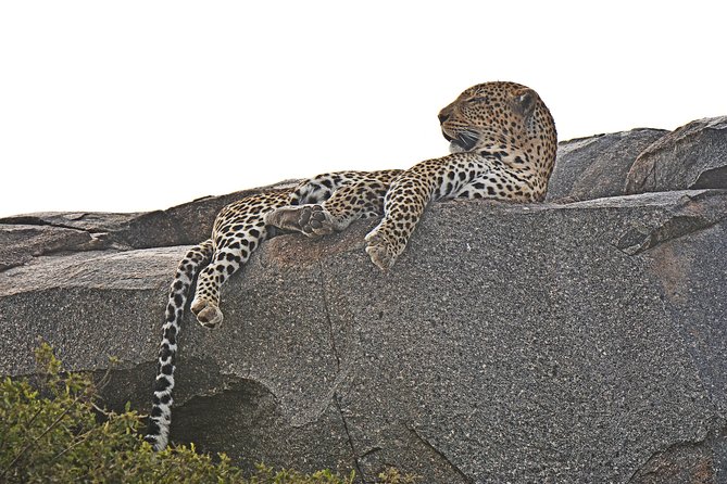 Tanzania Experience Safari and Tours - Price and Reviews