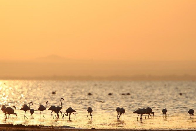 Tanzania Northern Circuit Lodge Safari - 6 Days Itinerary. - Day 4: Serengeti National Park