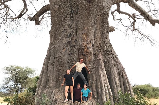 Tanzania Trip Amazing Tarangire Ngorongoro and Manyara - What To Expect During the Trip