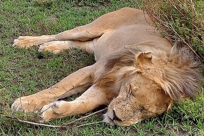 Tanzania Wildlife Safari Budget Camping - Packing Essentials