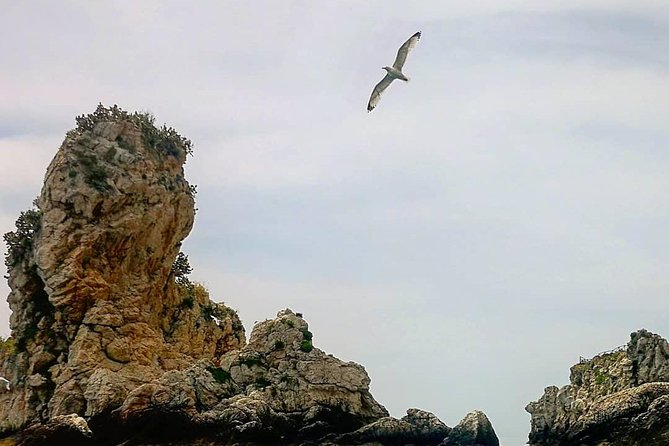 Taormina - Classic Boat Tour - Pricing and Group Size