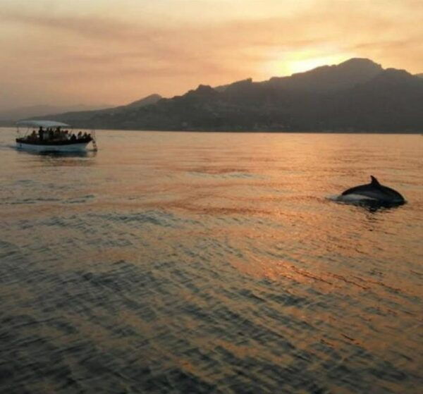 Taormina Coast Tour and Searching Dolphins - The Sum Up