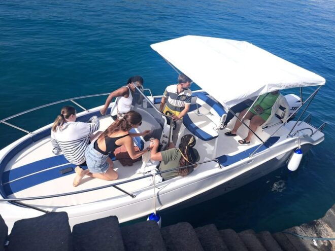 Taormina Dolphin Tour - Experience Highlights