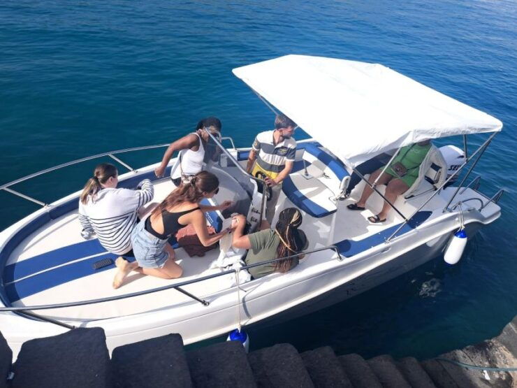 Taormina Dolphin Tour - Tour Details