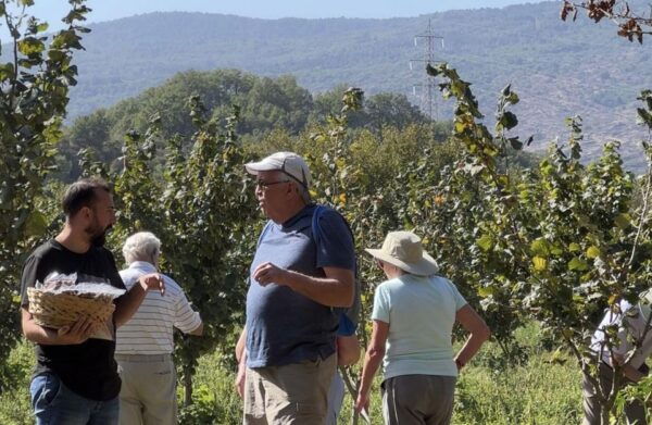 Taormina Food and Wine Tour With Lunch in a Etna Winery - Additional Information