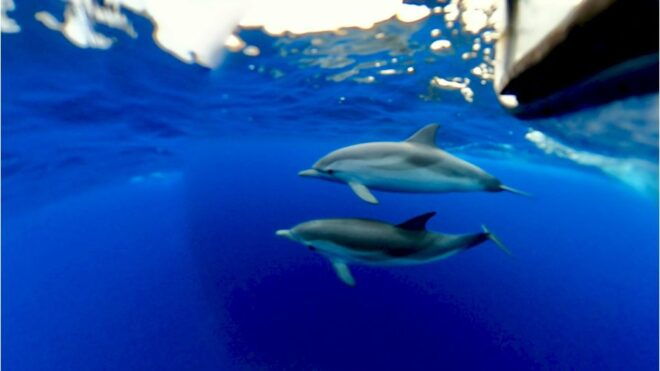 Taormina Giardini Naxos Boat Tour Isola Bella Aperitif Swing - Inclusions and Meeting Point