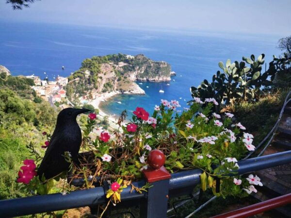 Taormina: Guided Walking Tour - Meeting Point