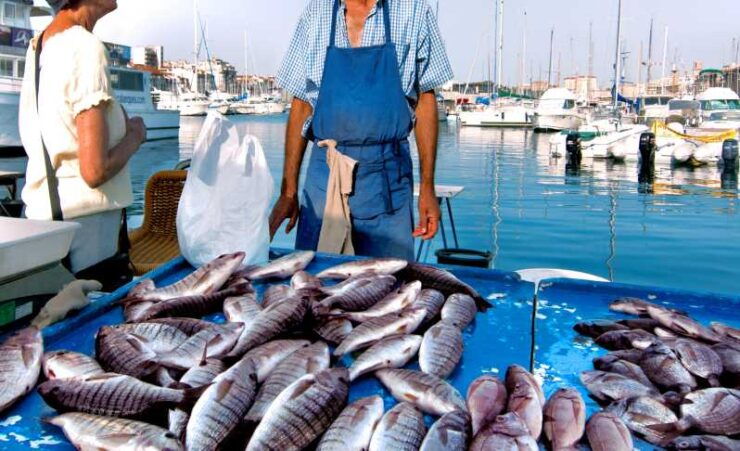 Taormina: Market Tour & Meal at a Locals Home - Good To Know