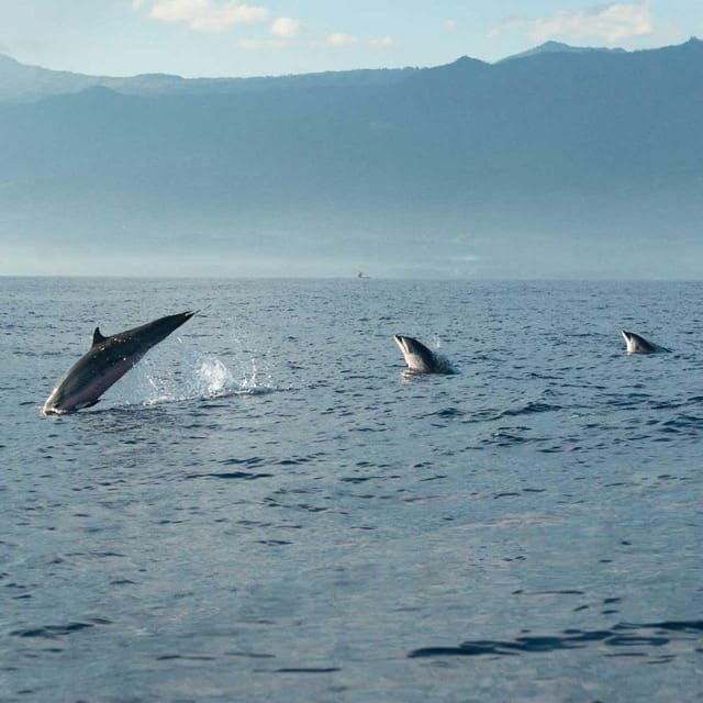 Taormina: Private Boat Tour with aperitif - The Experience on Board