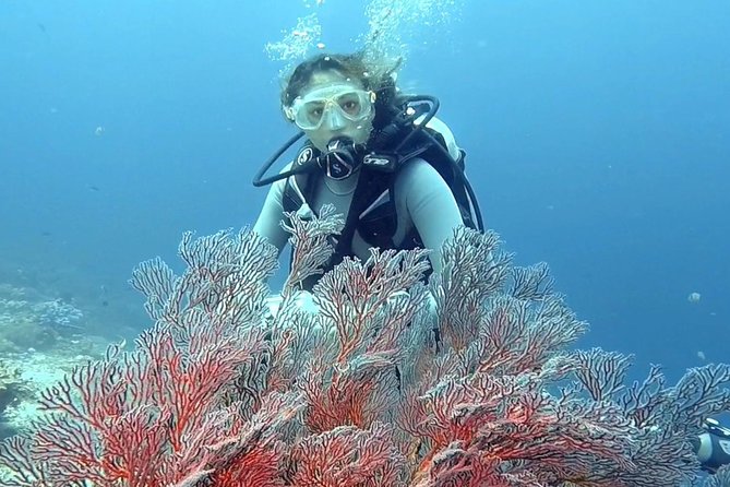 Taormina Scuba Diving Experience - Reviews