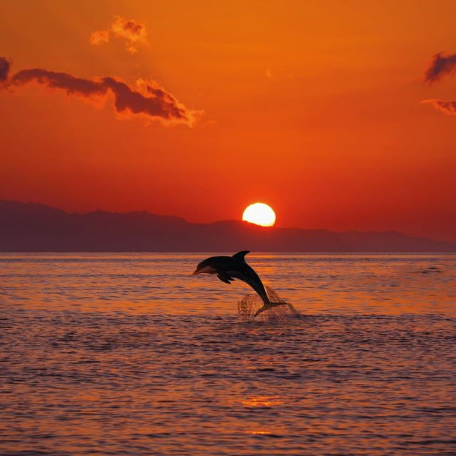 Taormina Sea: Pizza Under the Stars on Board - Cost and Duration Details