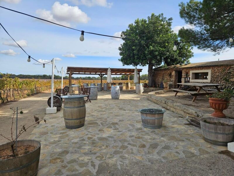 Tapas Evening at Bodegas Bordoy : ( Min. 2 Pers. Max. 12 Pers.) - Good To Know