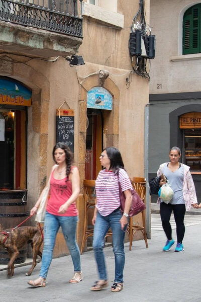 Tapas in La Barceloneta - Guided Tour - What to Bring