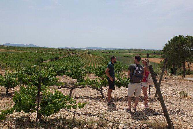 Tapas in the Vineyards - The Sum Up