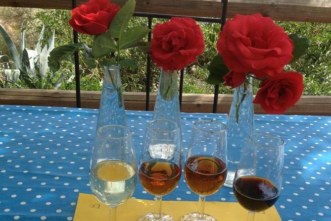 Tapas & Sherry an Andalucian Gourmet Experience. - Cancellation Policy