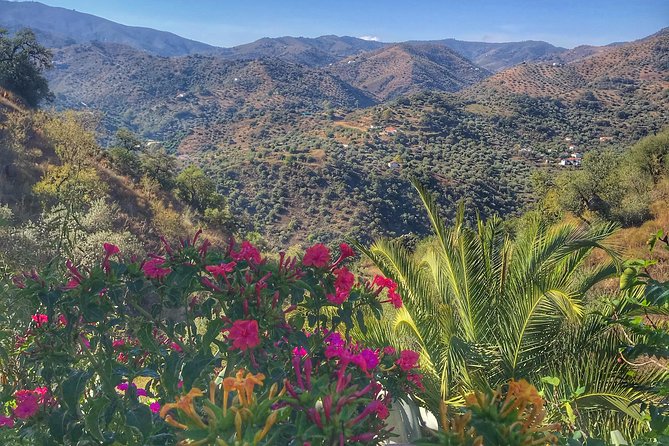 Tapas & Sherry an Andalucian Gourmet Experience. - Tips for a Memorable Experience