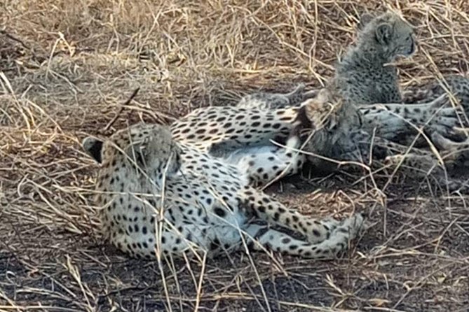 Tarangire and Ngorongoro 2 Days Budget Camping Safari - Meal Inclusions