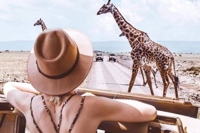 Tarangire and Ngorongoro 2 Days Budget Camping Safari - Pricing and Reviews