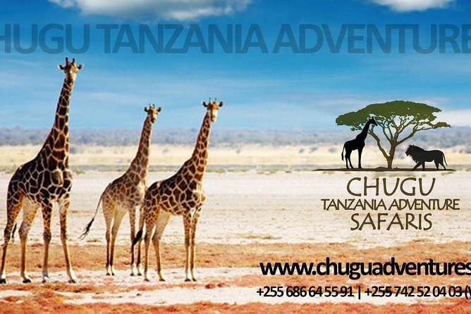 Tarangire National Park and Lake Manyara National Park - Best Times to Visit